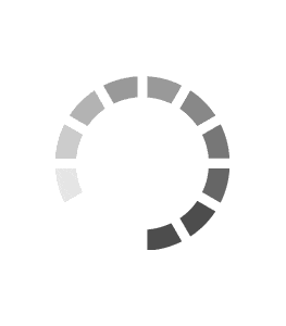 buy custom essays online